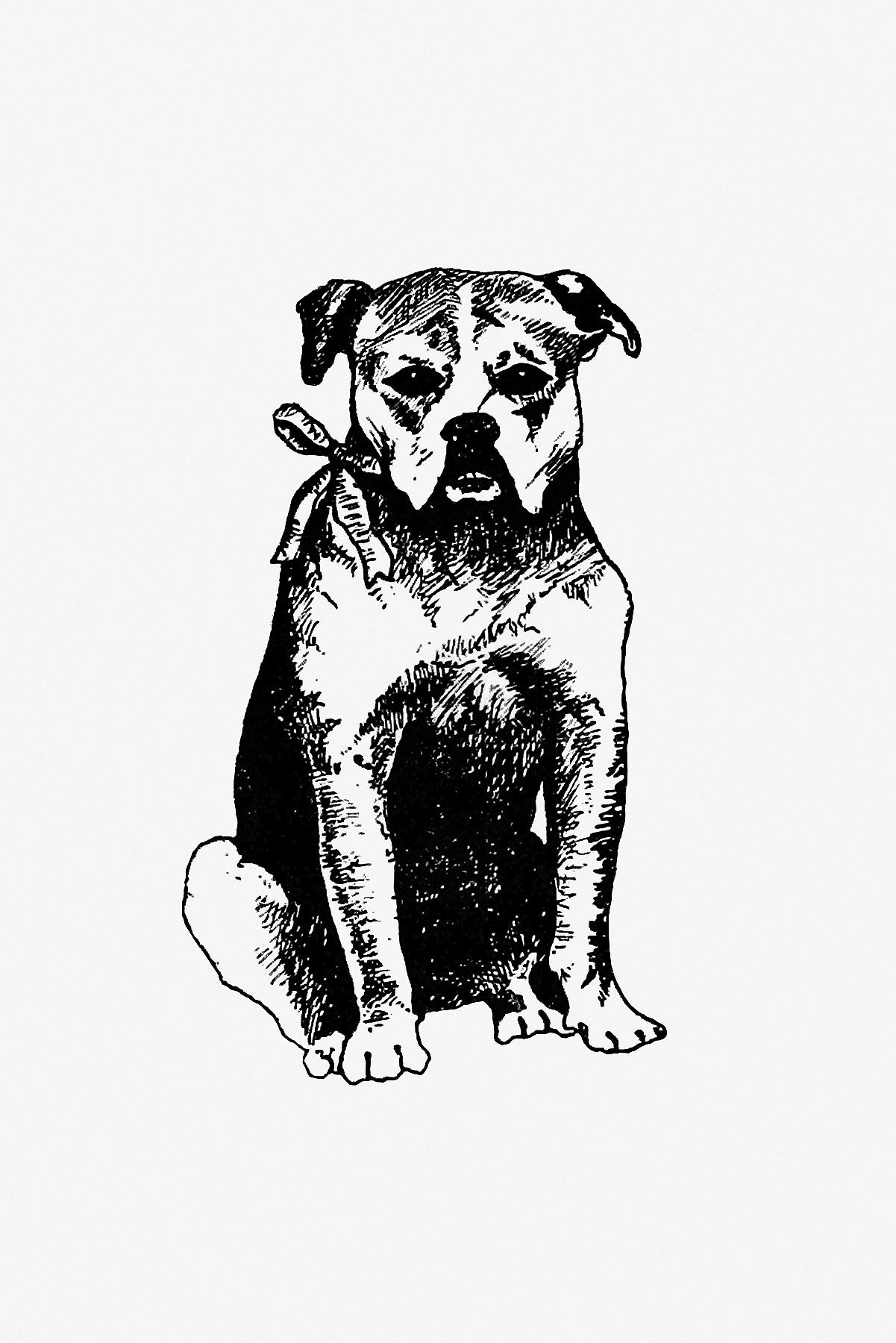 Vintage European style dog engraving from The New Hyperion. From Paris to Marly by Way of the Rhine by Edward Strahan (1875... Vintage European style dog engraving from The New Hyperion. From Paris to Marly by Way of the Rhine by Edward Strahan (1875...