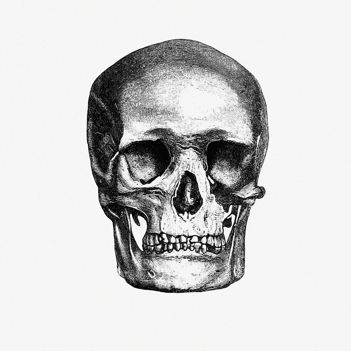 Vintage European style skull engraving from Annals of Winchcombe and Sudeley by Emma Dent (1877). Original from the British... Vintage European style skull engraving from Annals of Winchcombe and Sudeley by Emma Dent (1877). Original from the British...