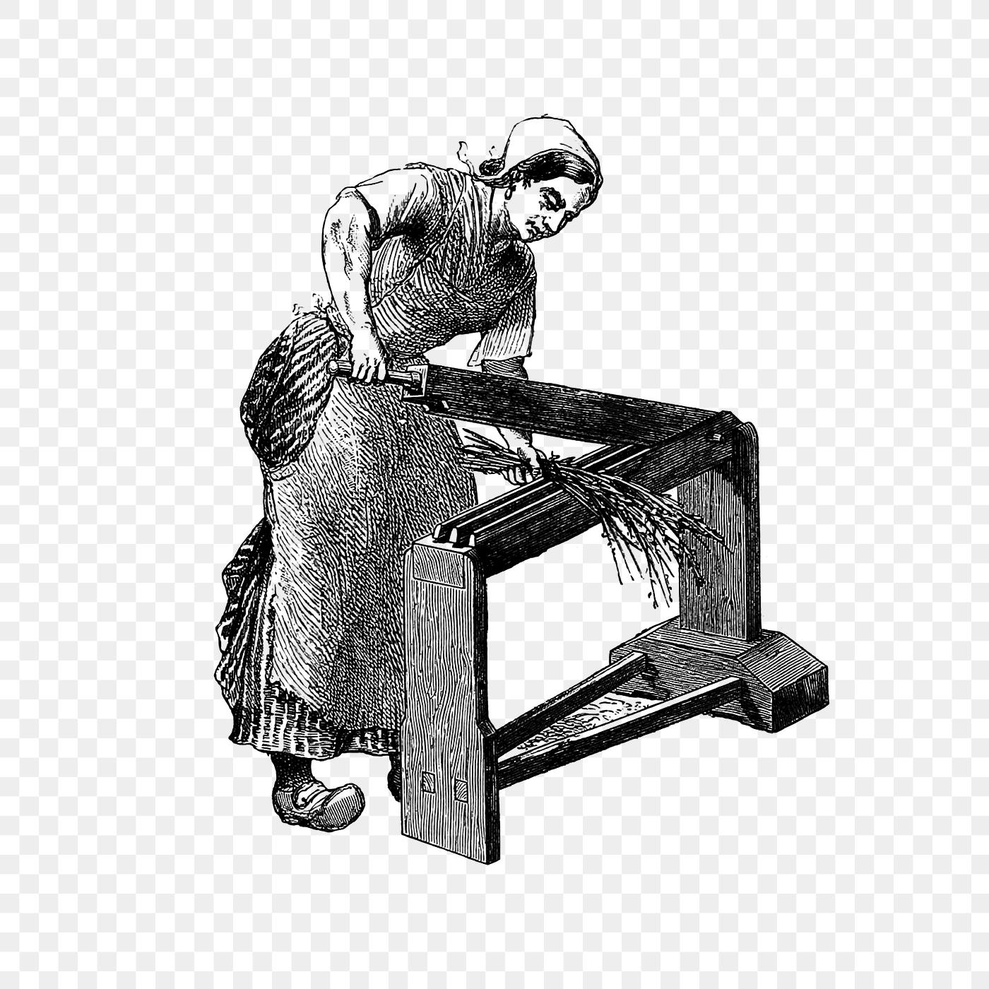 Vintage scutcher machine illustration European woman working with vintage scutcher machine engraving