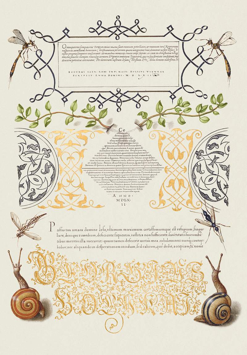 Insects, Basil Thyme, and Land Snails from Mira Calligraphiae Monumenta or The Model Book of Calligraphy (1561–1596) by…