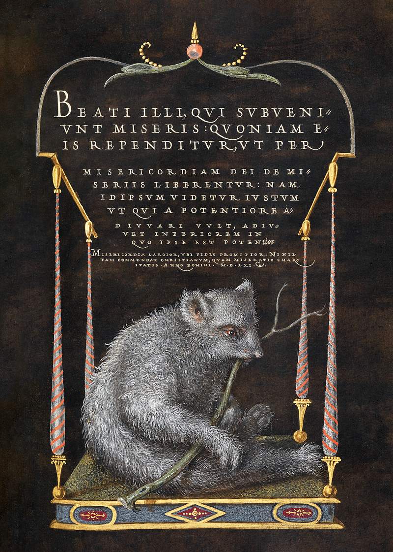 A Sloth from Mira Calligraphiae Monumenta or The Model Book of Calligraphy (1561–1596) by Georg Bocskay and Joris…