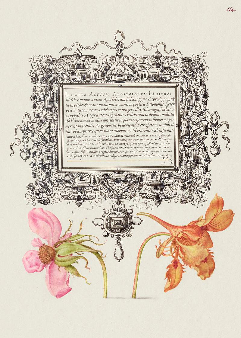 French Rose and Dwarf Nasturtium from Mira Calligraphiae Monumenta or The Model Book of Calligraphy (1561–1596) by…