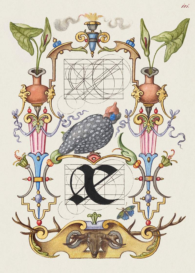 Guide for Constructing the Ligature ae from Mira Calligraphiae Monumenta or The Model Book of Calligraphy (1561–1596)…