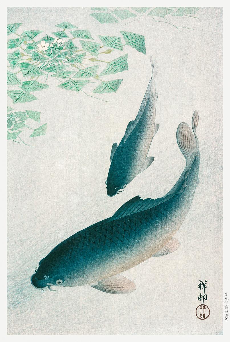 Carp or Koi (1926) by Ohara | Free Photo Illustration - rawpixel