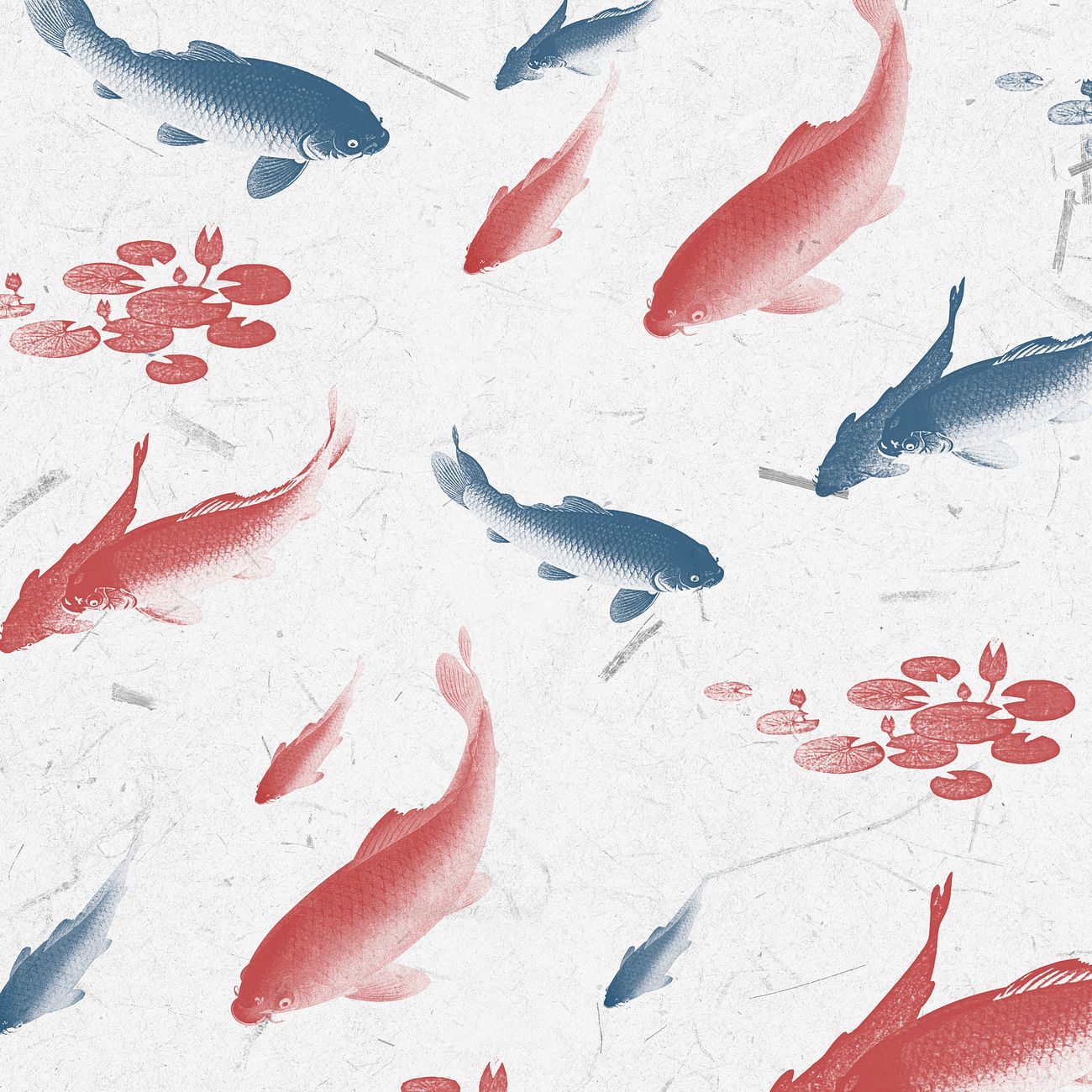 Blue and red koi fish | Premium PSD - rawpixel