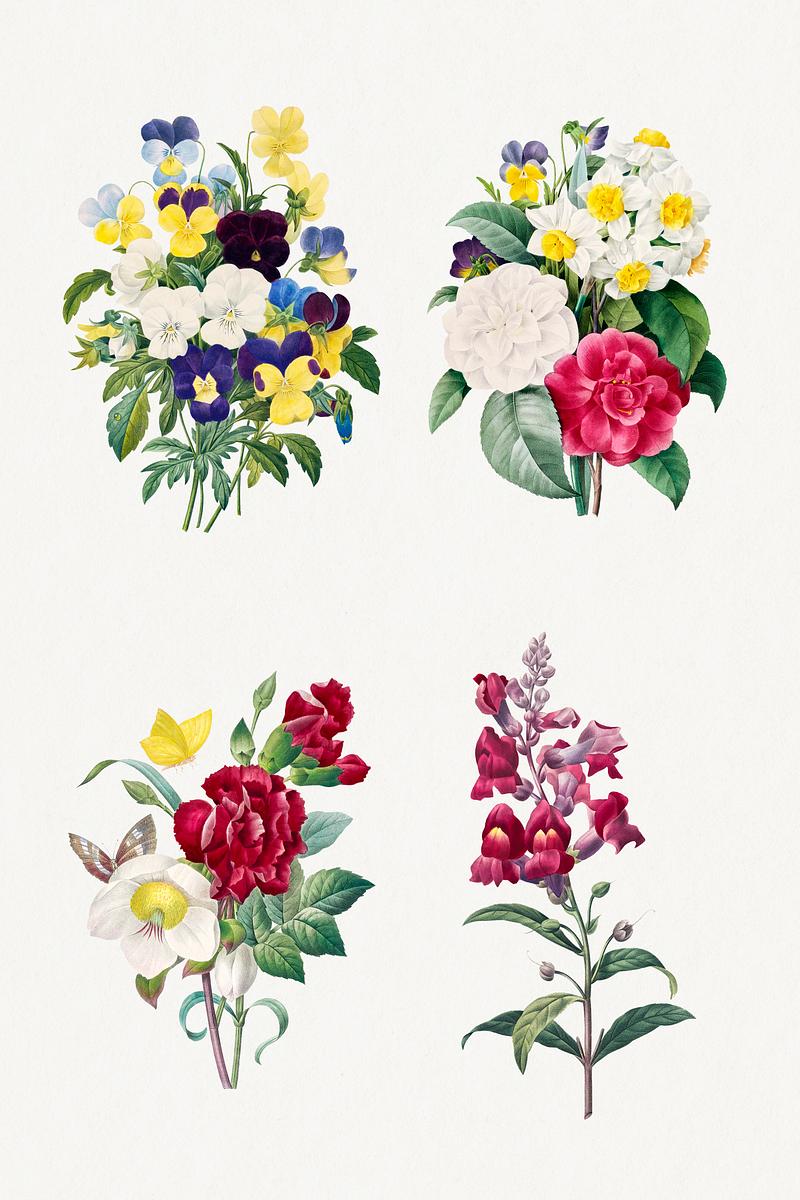 Flower botanical psd art print set, remixed… | Royalty free stock Illustration | High Resolution graphic Flower botanical psd art print set, remixed from artworks by Pierre-Joseph Redouté