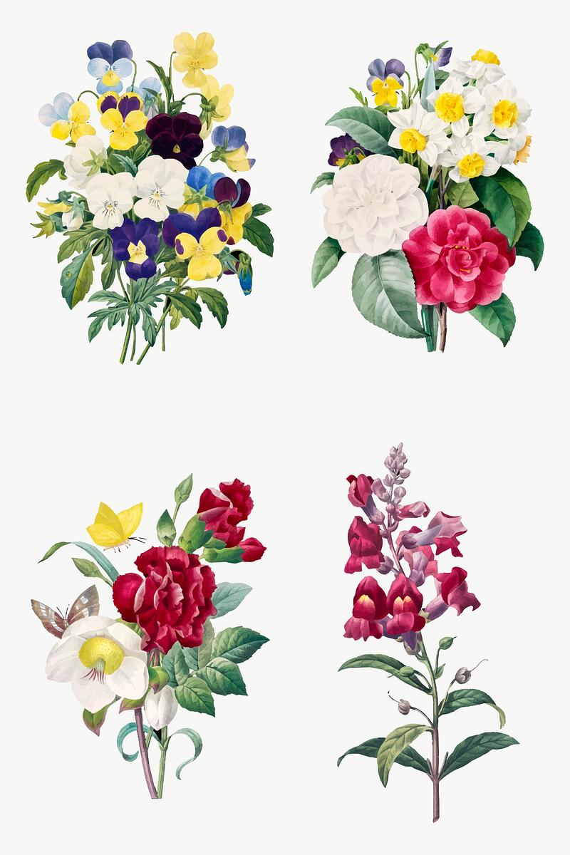 Flower botanical vector art print set,… | Royalty free stock Illustration | High Resolution graphic Flower botanical vector art print set, remixed from artworks by Pierre-Joseph Redouté