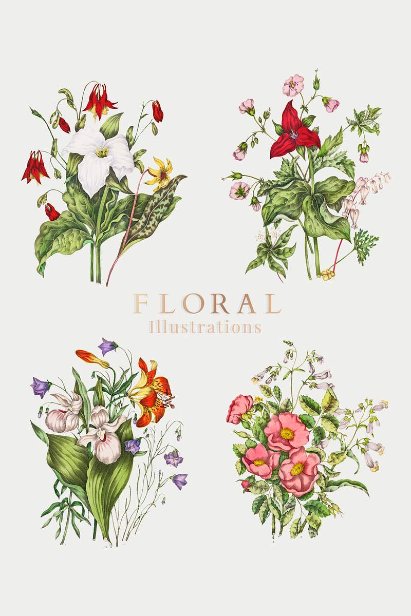 Hand Drawn Vintage Floral Royalty Free Stock Psd Mockup High Resolution Design