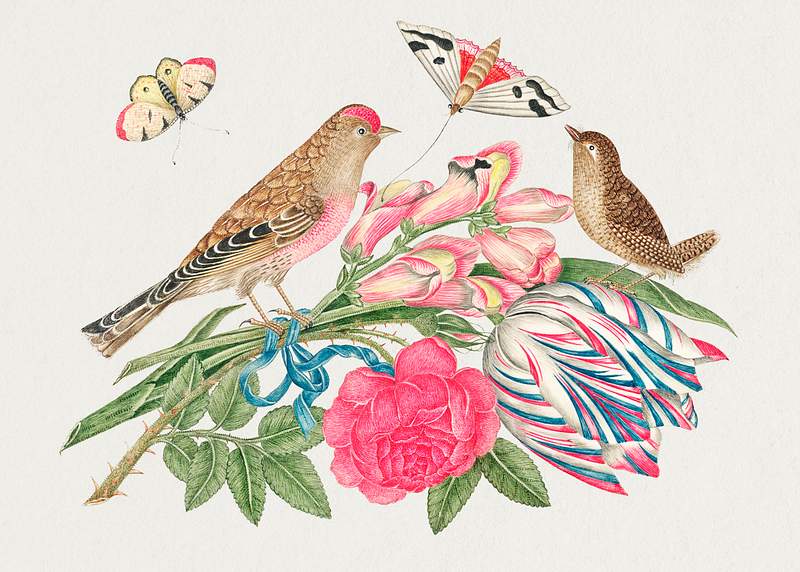 The 18th century illustration of pair of brown birds on bouquet with tulip, rose, and snapdragons, with butterflies. Original…
