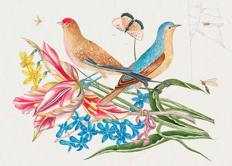 The 18th century illustration of two birds on a branch of tulips with insects. Original from The Smithsonian. Digitally…