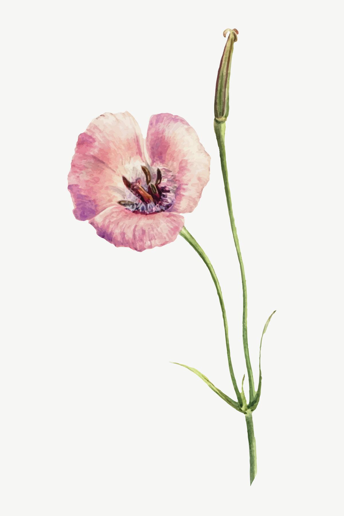 Purple lilac botanical illustration watercolor, | Premium Vector ...