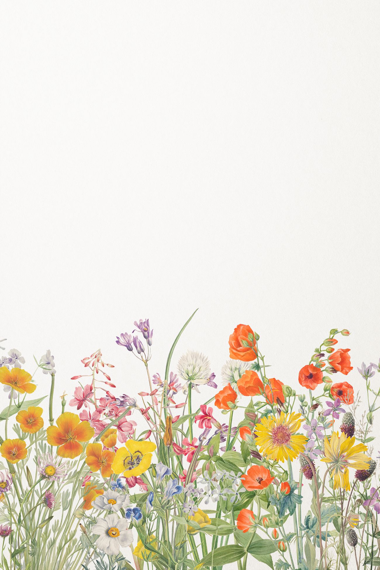 Colorful flower vintage background… | Royalty free stock Illustration ...