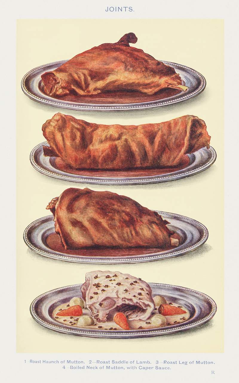 Joints: Roast Haunch of Mutton, Roast Saddle of Lamb, Roast Leg of Mutton, and Boiled Neck of Mutton with Caper Sauce from…