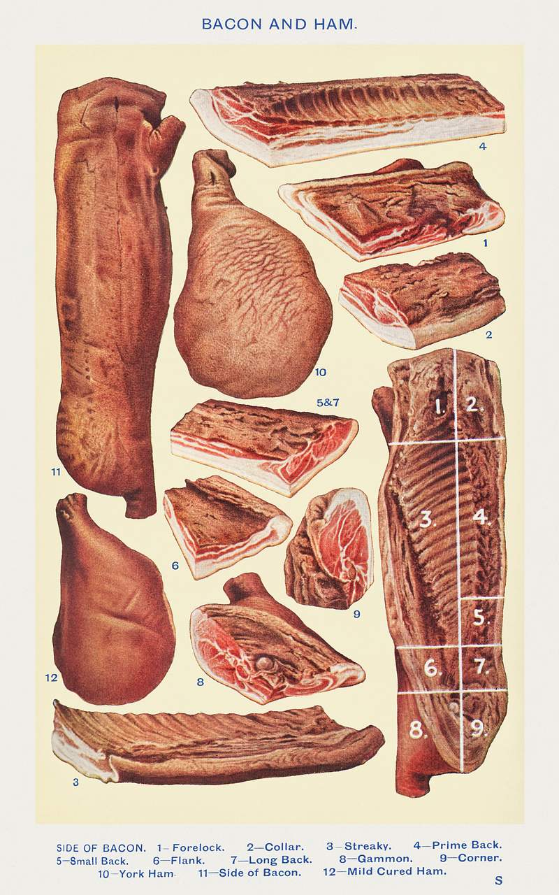 Bacon and Ham: Side of Bacon, Forelock, Collar, Streaky, Prime Back, Small Back, Flank, Long Black, Gammon, Corner, York Ham…