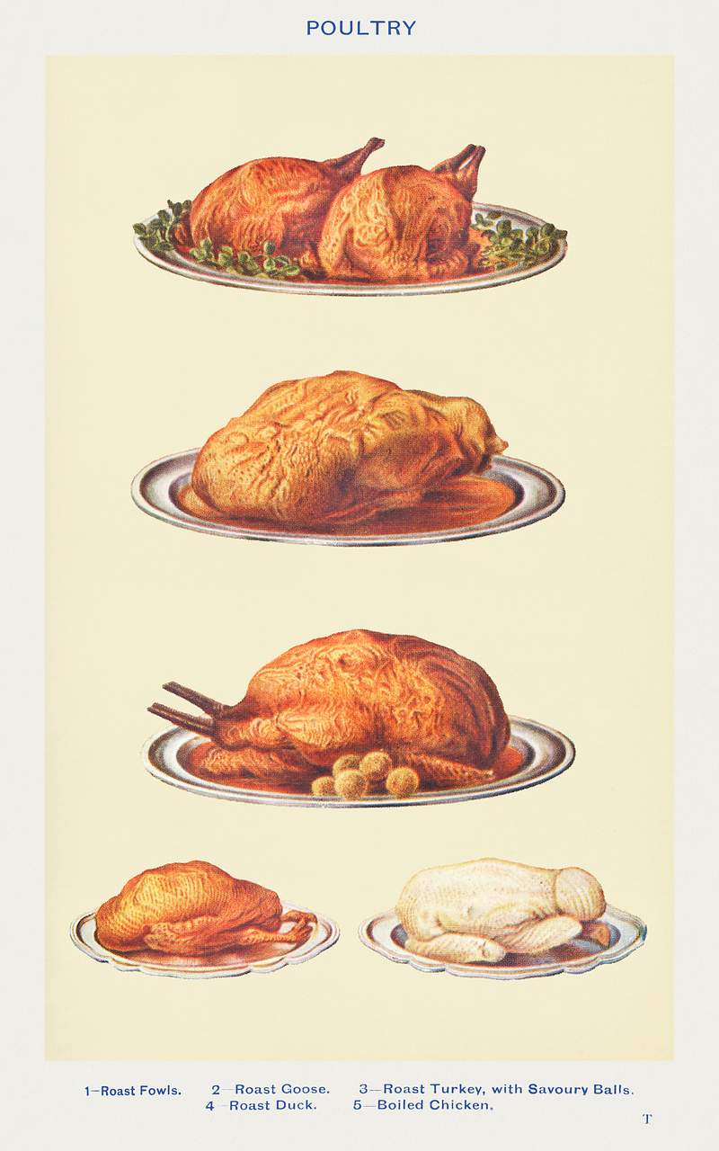 Poultry: Roast Fowls, Roast Goose, Roast Turkey with Savoury Balls, Roast Duck, and Boiled Chicken from Mrs. Beeton's Book of…
