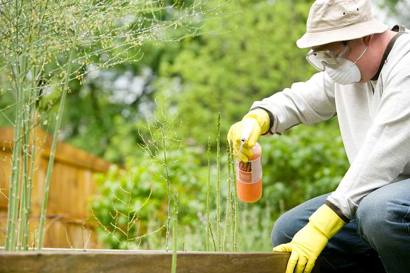 Man properly tending his garden. Original image sourced from US Government department: Public Health Image Library, Centers…