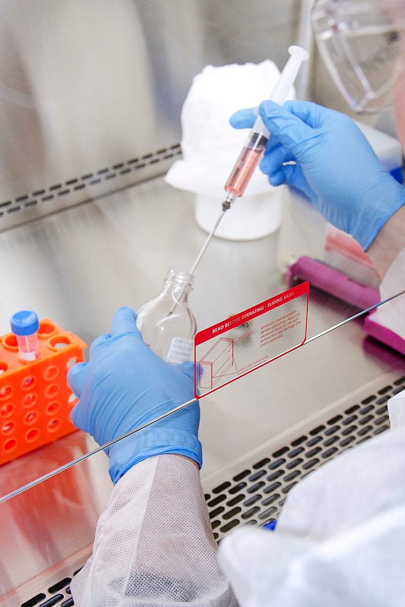 Laboratory technician working with a cell culture solution, using a syringe to add some of the sample to a glass bottle.…