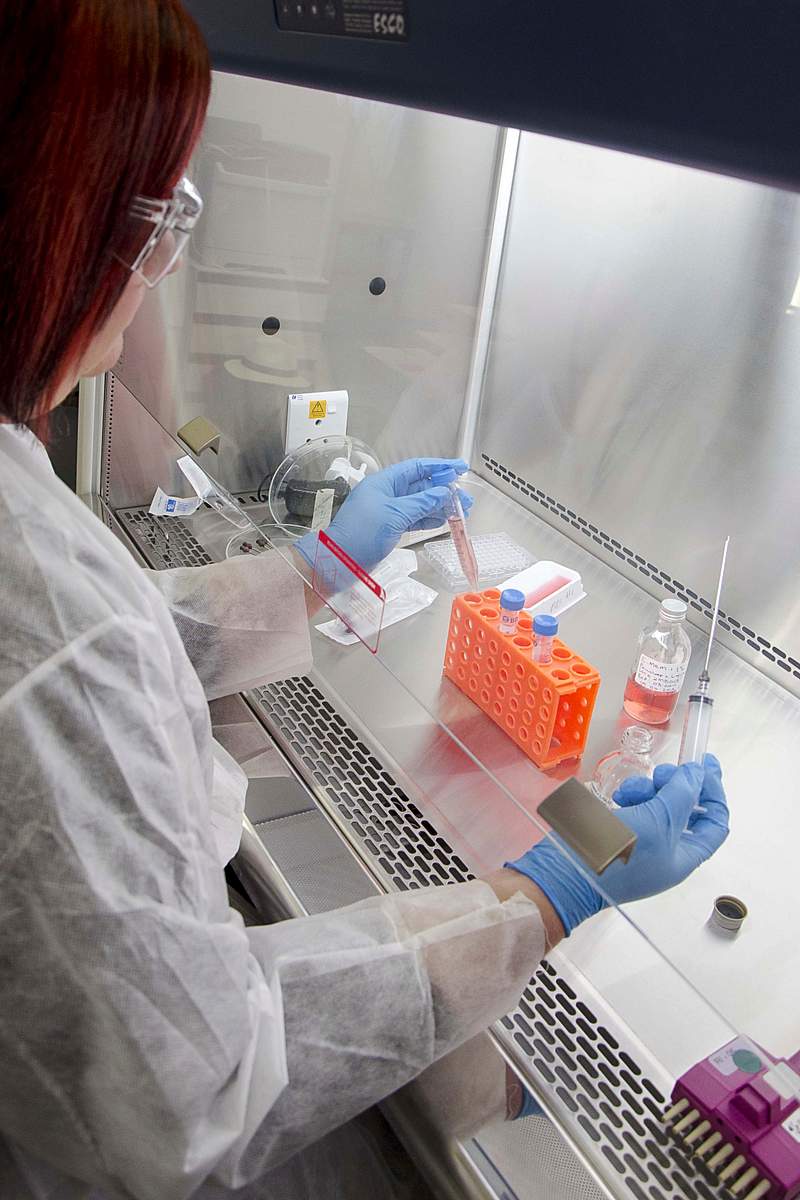 Laboratory technician working with a cell culture solution, using a syringe to add some of the sample to a glass bottle. A…