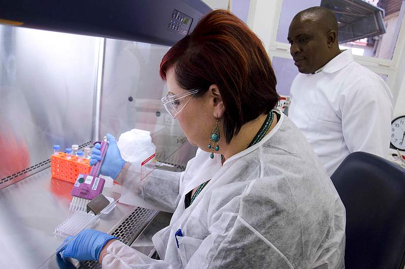 Scientist testing with virus through test tubes. A healthcare provider donning a pair of green latex gloves in order to…