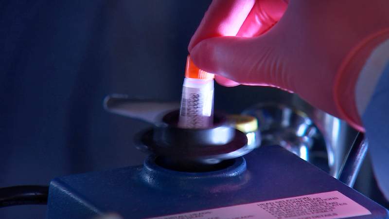 Sample of test tubes. A healthcare provider donning a pair of green latex gloves in order to protect herself during her…