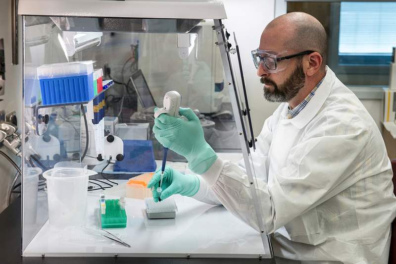 A scientist implementing molecular testing. Original image sourced from US Government department: Public Health Image…