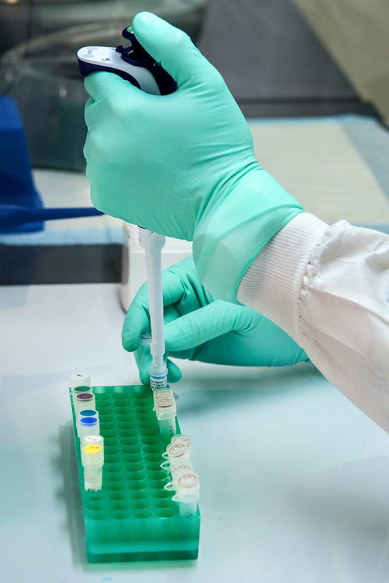 A scientist implementing molecular testing. Original image sourced from US Government department: Public Health Image…