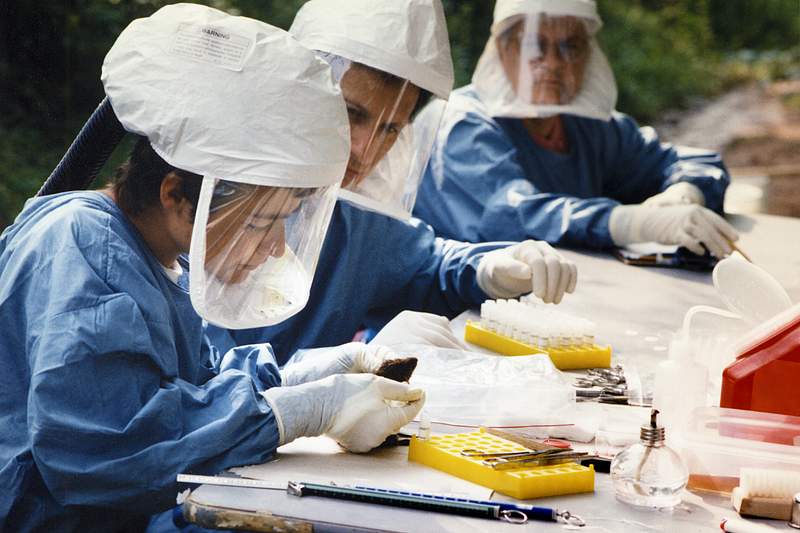Health officials inspecting specimens suspected of being connected to a hantavirus outbreak. Original image sourced from US…