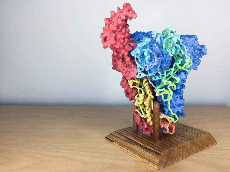 3D Print of MERS-CoV Spike. Original image sourced from US Government department: The National Institute of Allergy and…