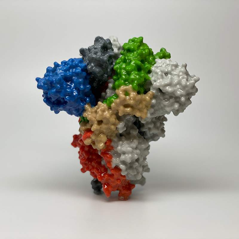 3D print of a spike protein on the surface of SARS-CoV-2—also known as 2019-nCoV, the virus that causes COVID-19.…