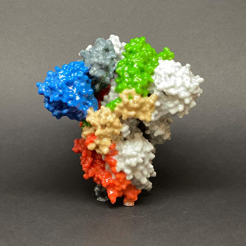 3D print of a spike protein on the surface of SARS-CoV-2—also known as 2019-nCoV, the virus that causes COVID-19.…