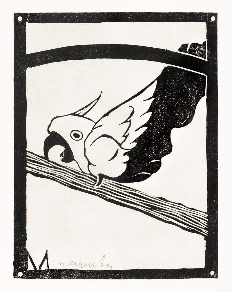 Daddy, Screaming Cockatoo (Pappie,… | Free public domain illustration Daddy, Screaming Cockatoo (Pappie, Schreeuwende kaketoe) (c.1900–1922) print in high resolution by Samuel Jessurun de…