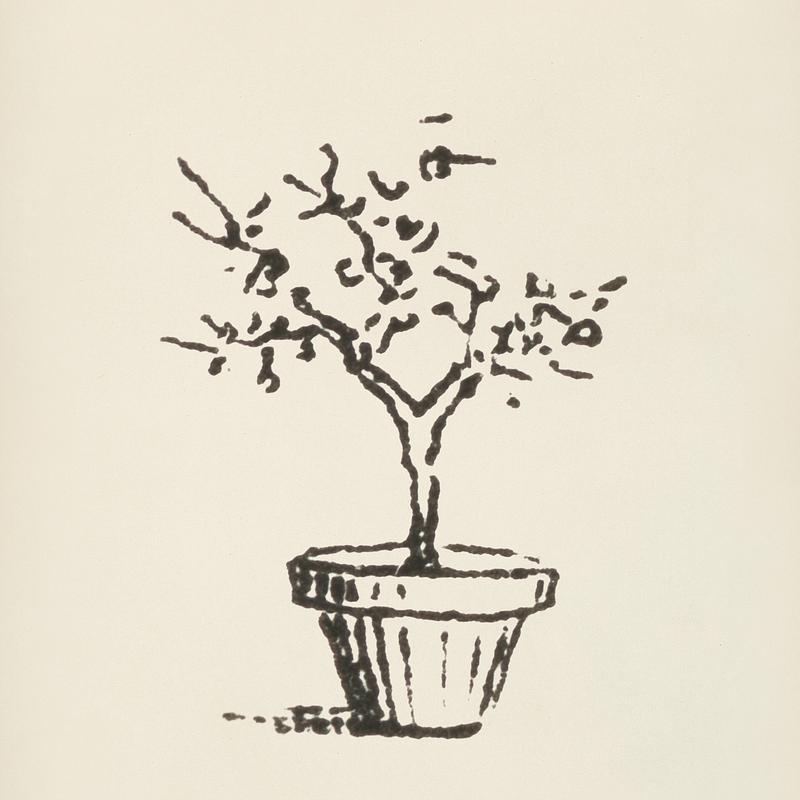 Plant icon from L'ornement Polychrome (1888) by Albert Racinet (1825–1893). Digitally enhanced from our own original 1888 edition. Plant icon from L'ornement Polychrome (1888) by Albert Racinet (1825–1893). Digitally enhanced from our own original…