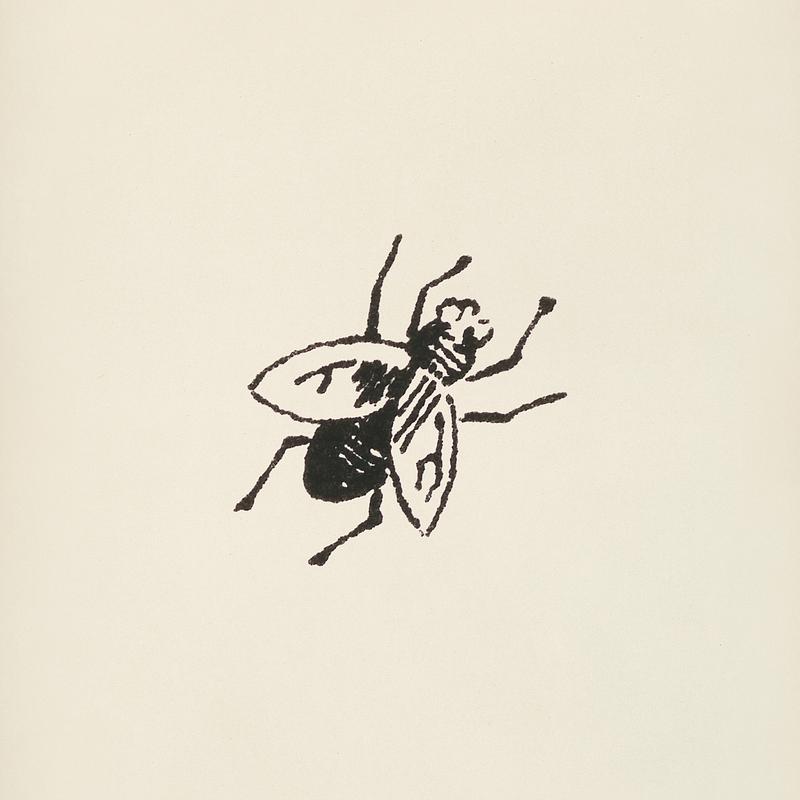 Fly icon from L'ornement Polychrome (1888) by Albert Racinet (1825–1893). Digitally enhanced from our own original 1888 edition. Fly icon from L'ornement Polychrome (1888) by Albert Racinet (1825–1893). Digitally enhanced from our own original 1888…