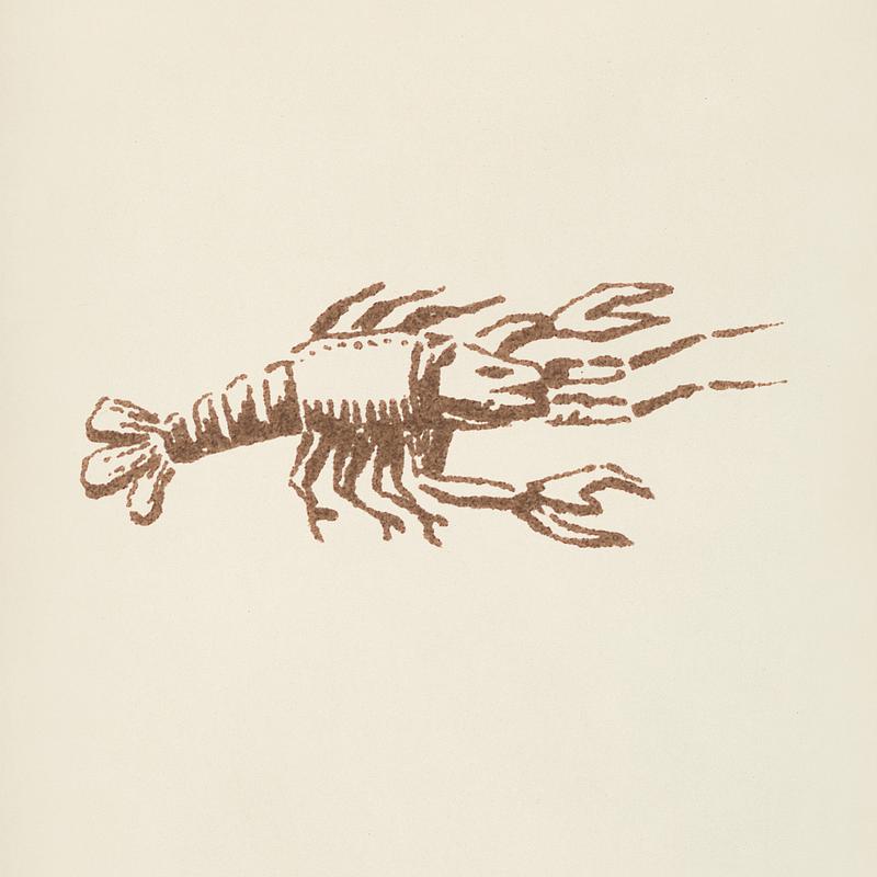 Lobster icon from L'ornement Polychrome (1888) by Albert Racinet (1825–1893). Digitally enhanced from our own original 1888 edition. Lobster icon from L'ornement Polychrome (1888) by Albert Racinet (1825–1893). Digitally enhanced from our own original…