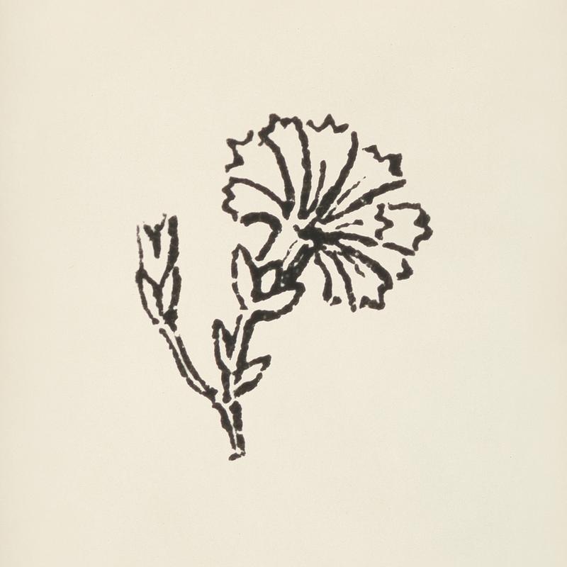 Carnation icon from L'ornement Polychrome (1888) by Albert Racinet (1825–1893). Digitally enhanced from our own original 1888 edition. Carnation icon from L'ornement Polychrome (1888) by Albert Racinet (1825–1893). Digitally enhanced from our own…