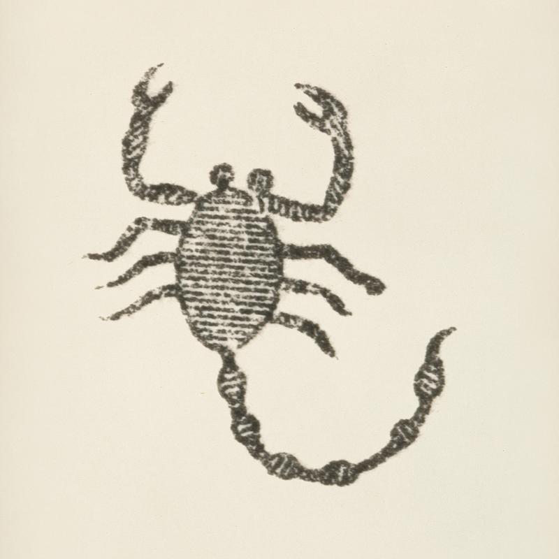 Scorpion icon from L'ornement Polychrome (1888) by Albert Racinet (1825–1893). Digitally enhanced from our own original 1888 edition. Scorpion icon from L'ornement Polychrome (1888) by Albert Racinet (1825–1893). Digitally enhanced from our own original…