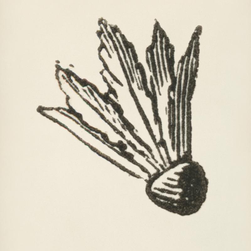 Shuttlecock icon from L'ornement Polychrome (1888) by Albert Racinet (1825–1893). Digitally enhanced from our own original 1888 edition. Shuttlecock icon from L'ornement Polychrome (1888) by Albert Racinet (1825–1893). Digitally enhanced from our own…