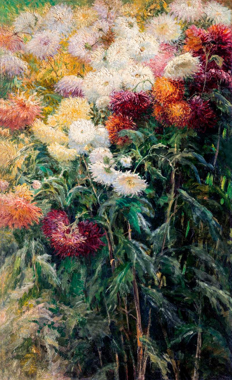 Chrysanthemums in the Garden at Petit–Gennevilliers (1893) painting in high resolution by Gustave Caillebotte. Original…