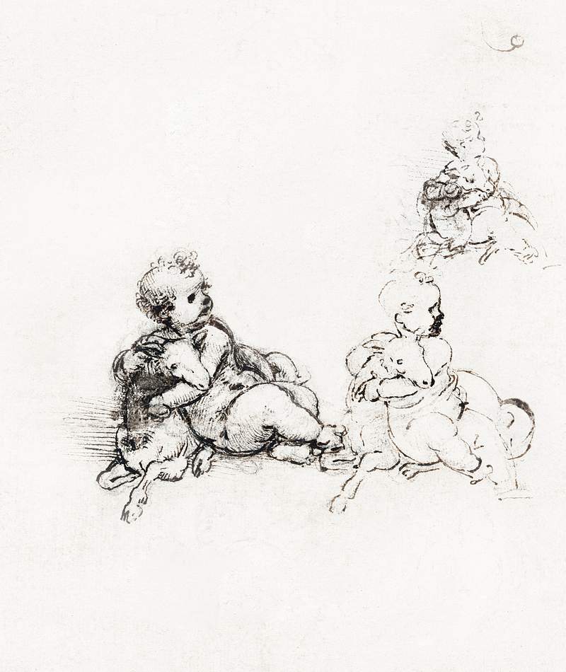 Studies for the Christ Child with a Lamb (ca. 1503–1506) drawing in high resolution by Leonardo da Vinci. Original from…