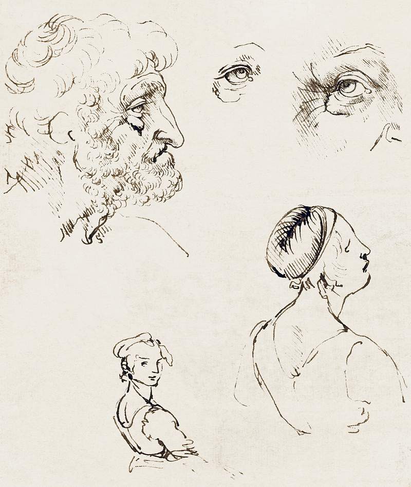 Sheet of Studies (ca. 1470–1480) drawing in high resolution by Leonardo da Vinci. Original from The National Gallery of…
