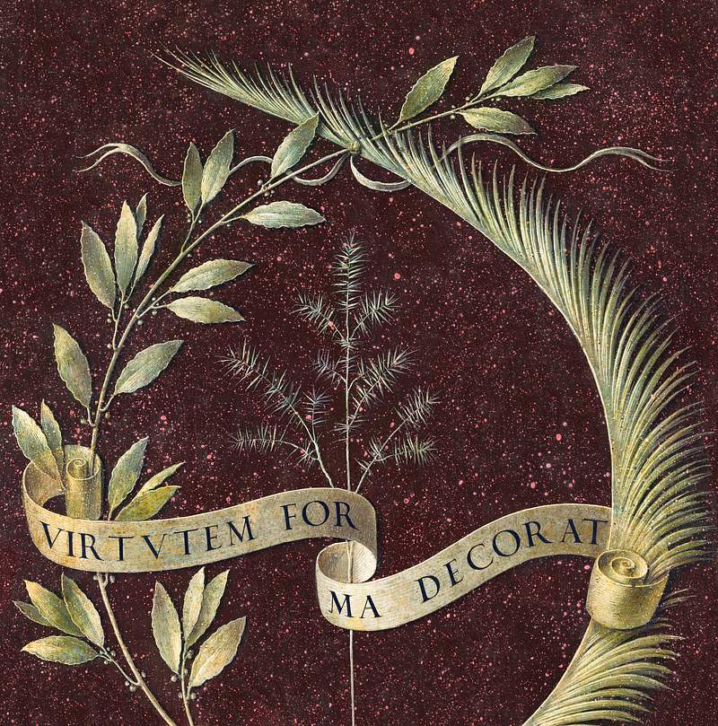Wreath of Laurel, Palm, and Juniper with a Scroll inscribed Virtutem Forma Decorat (ca.1474–1478) by painting in high…
