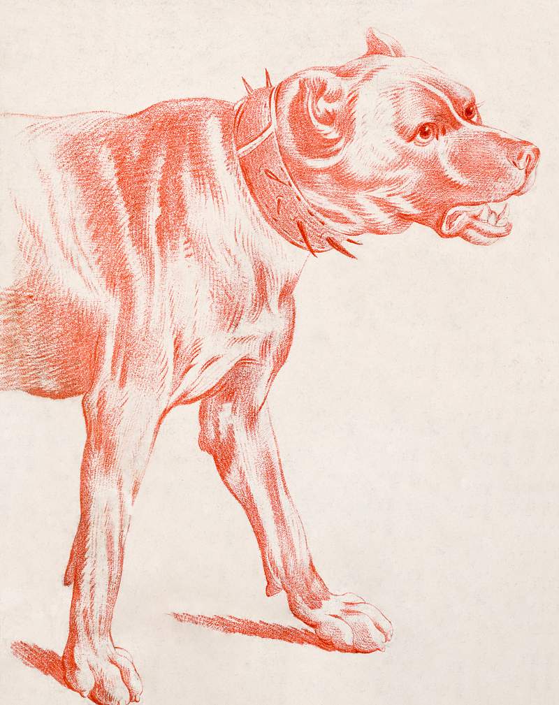 The Fore-part of a Dog (ca.1778) print in high resolution by Louis-Marin Bonnet. Original from the Smithsonian Institution.…