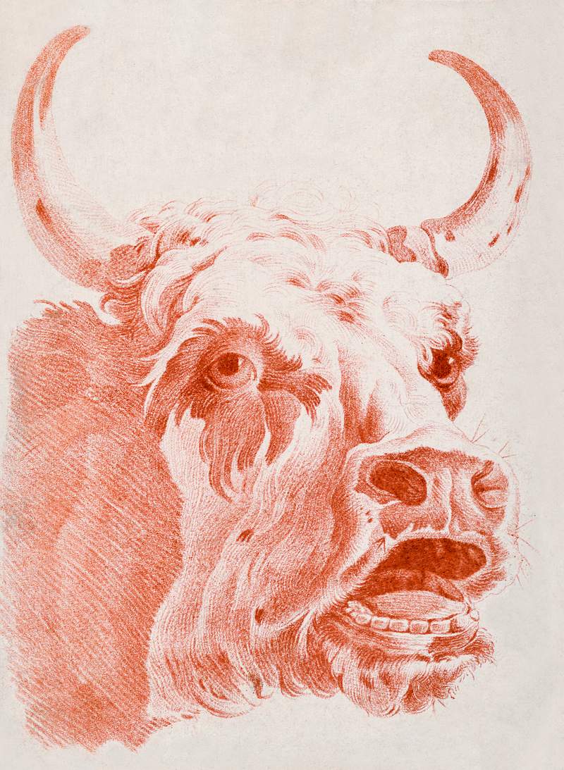Head of a Cow (ca.1778) print in high resolution by Louis-Marin Bonnet. Original from the Smithsonian Institution. Digitally…