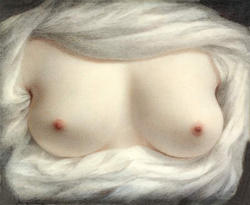 Exposed female breasts, vintage nude… | Free public domain illustration Exposed female breasts, vintage nude illustration. Beauty Revealed (1828) by Sarah Goodridge. Original from The MET museum.…