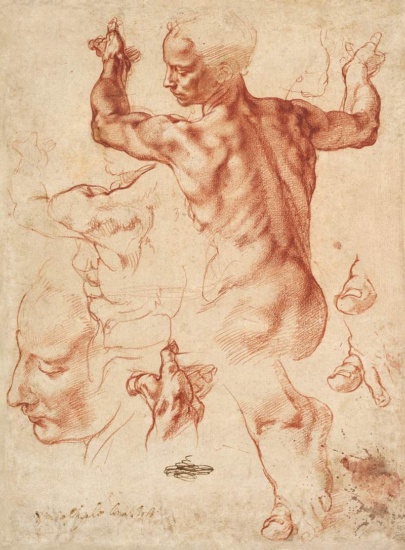 Studies for the Libyan Sibyl (recto); Studies for the Libyan Sibyl and a small Sketch for a Seated Figure (verso) (ca.…