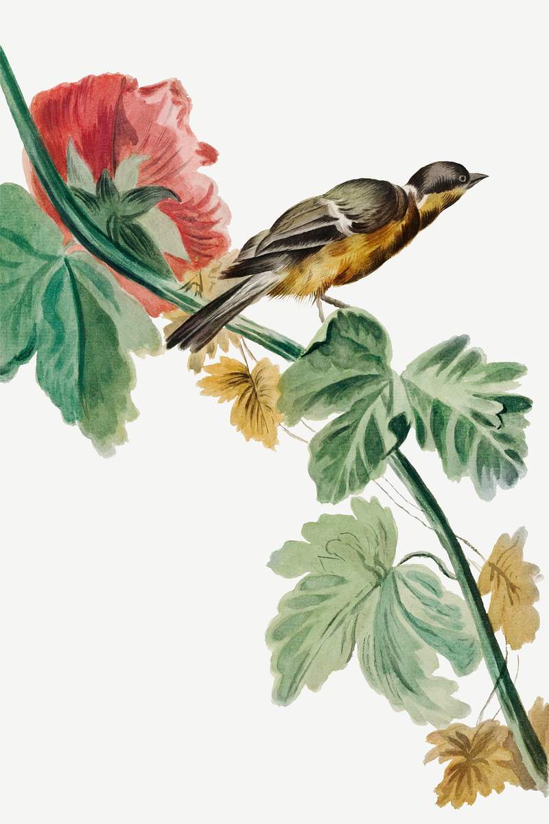 Design for a Woven Fabric (ca. 1775–1800) in high resolution. Original from The Smithsonian. Digitally enhanced by…
