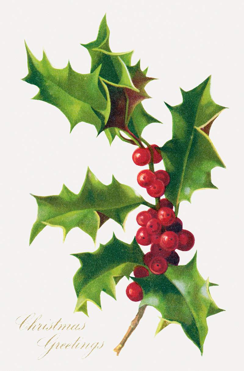 Christmas greetings (1906) in high resolution. Original from the The New York Public Library. Digitally enhanced by rawpixel.