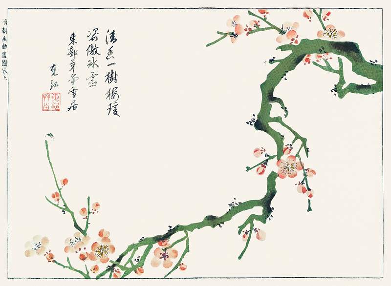 Sorimachi 409 (1746) in high resolution from Minchô shiken by Ôoka Shunboku. Original from the The New York…