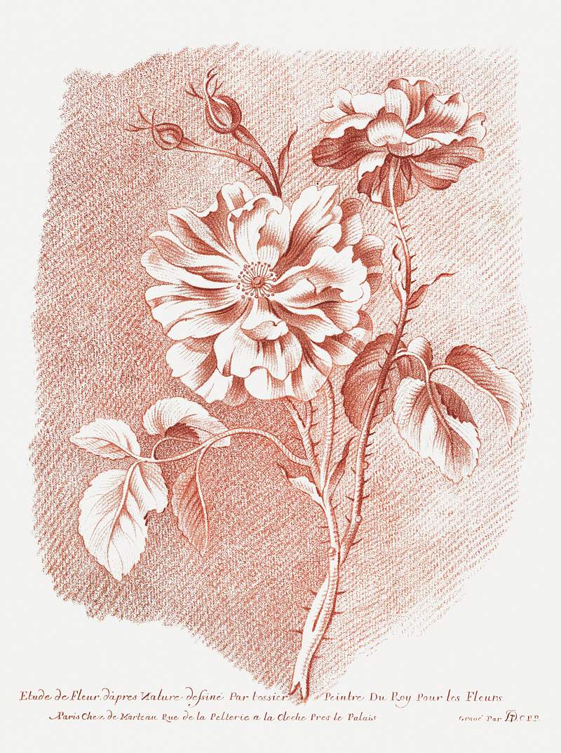 Bloemen (ca. 1755–1776) in high resolution by Gilles Demarteau. Original from The Rijksmuseum. Digitally enhanced by…