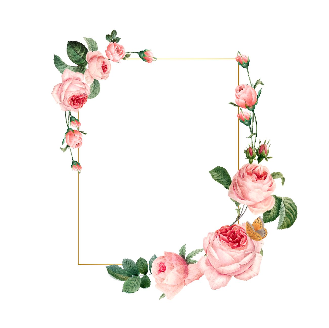 Download Blank rectangle pink roses frame on white background ...